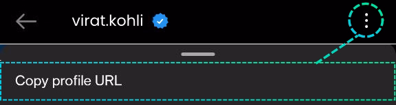 Copy Instagram Link Copy Instagram Link